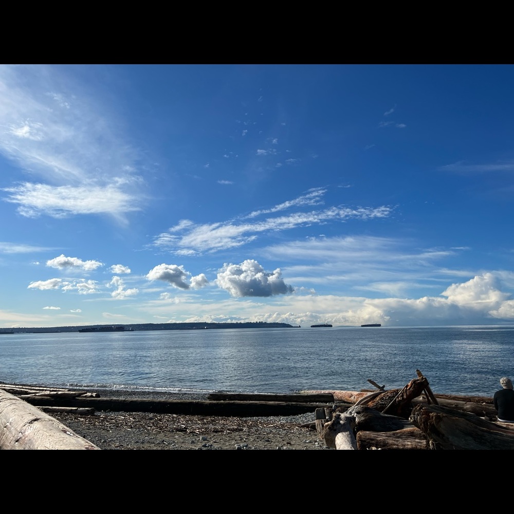 Meet your Posher, Bernie